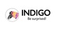 Indigo Paints Ltd Q2 FY2025 consolidated profit at Rs. 22.64 crores